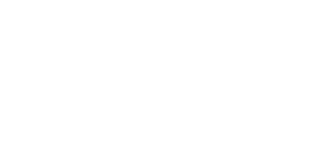 VEEIVS Logo